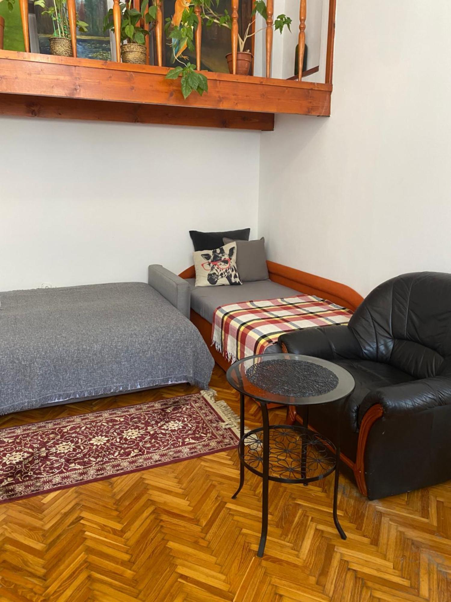 Apartment Oasis One Bedroom For Renting *