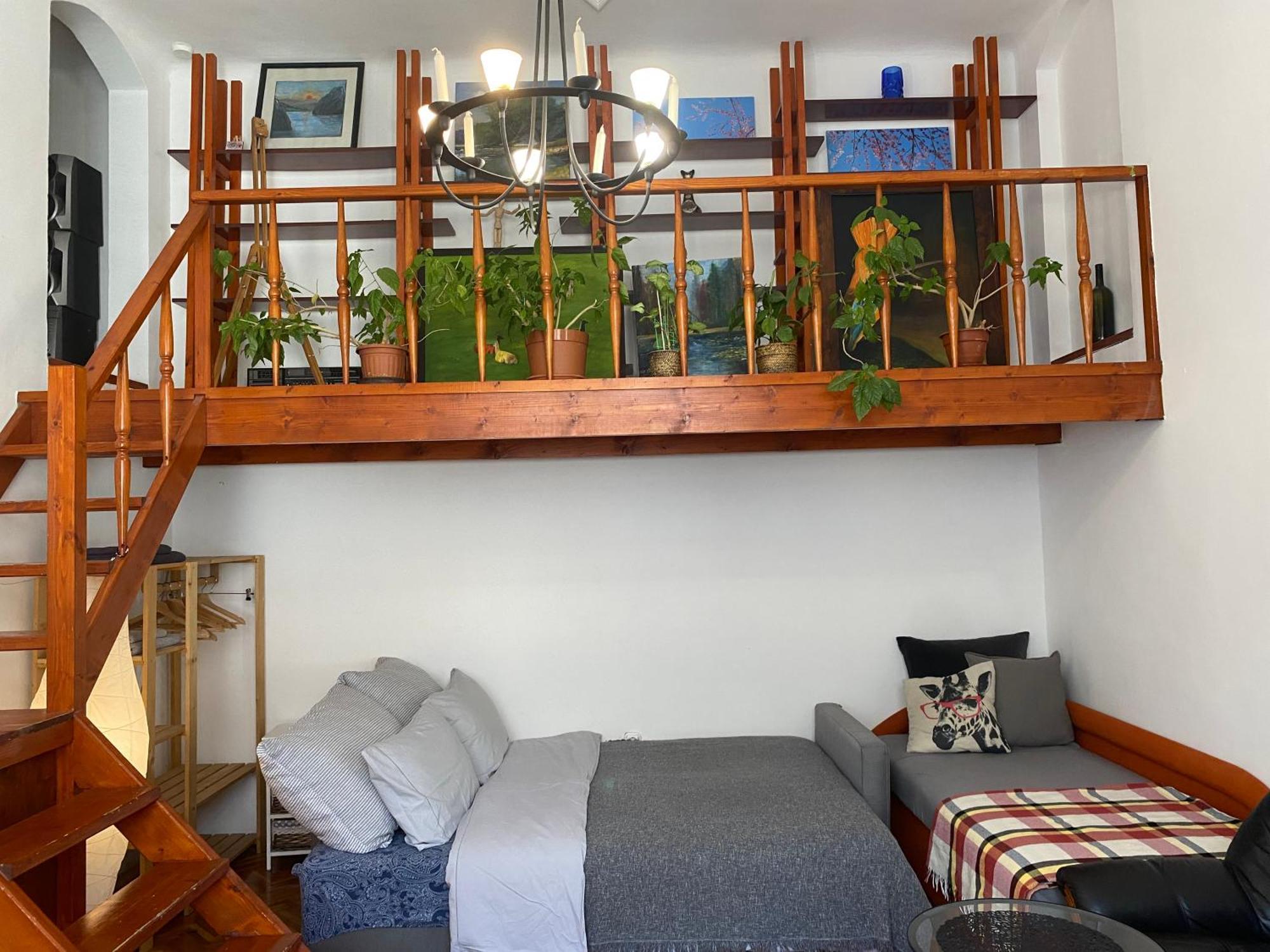 Oasis One Bedroom For Renting